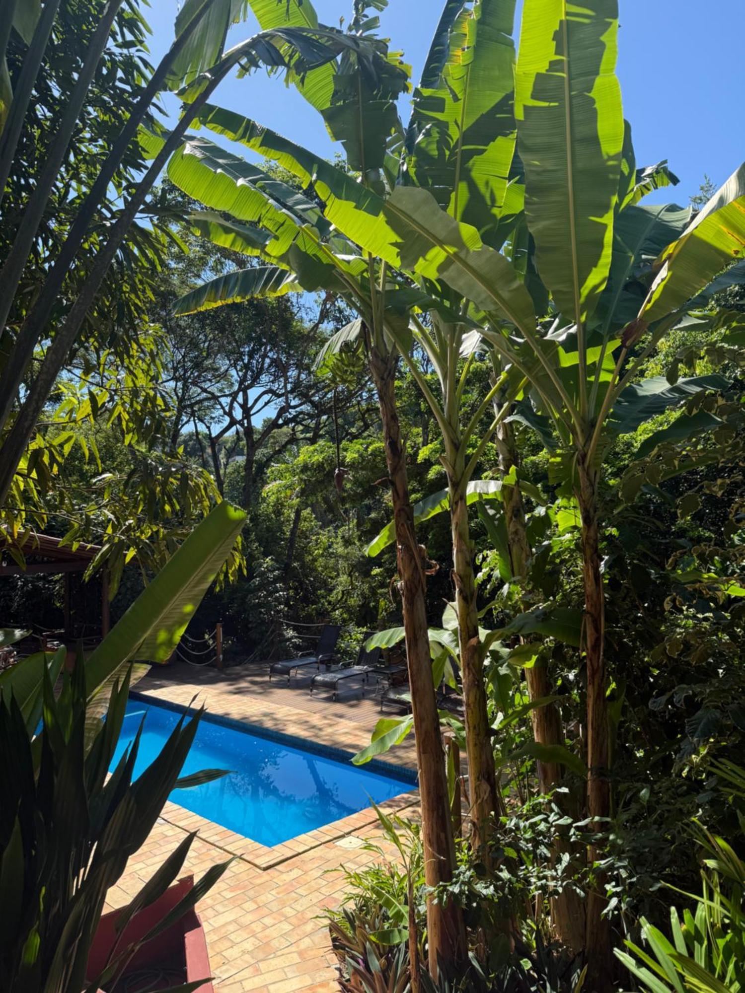 Jardim Botanico Casa Rossa Bungalows & Apartments Morro de São Paulo Exterior foto